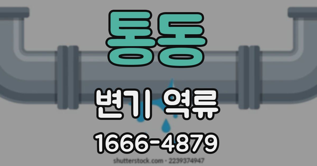통동 변기 역류