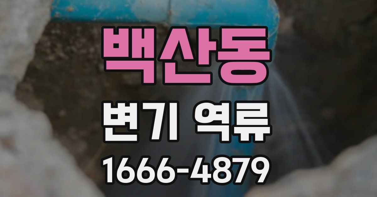 백산동 변기 역류