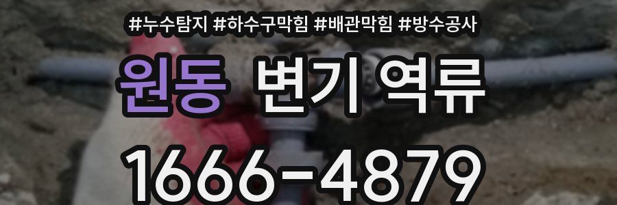 원동 변기 역류