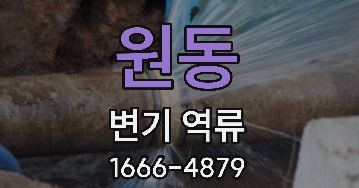 원동 변기 역류