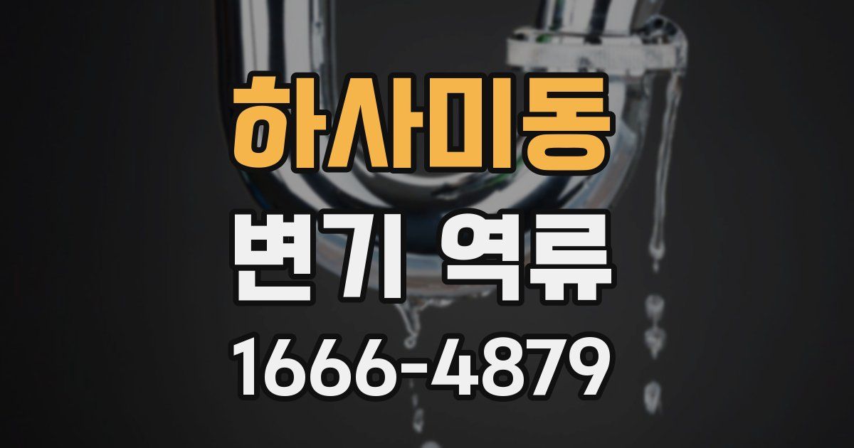 하사미동 변기 역류