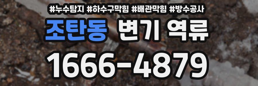 조탄동 변기 역류