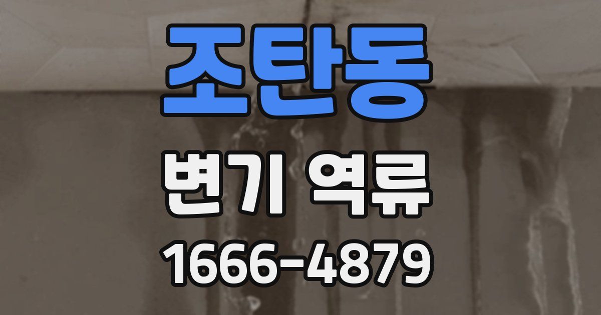 조탄동 변기 역류
