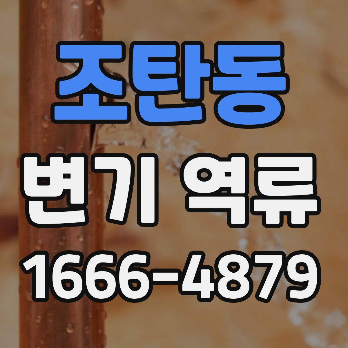 조탄동 변기 역류