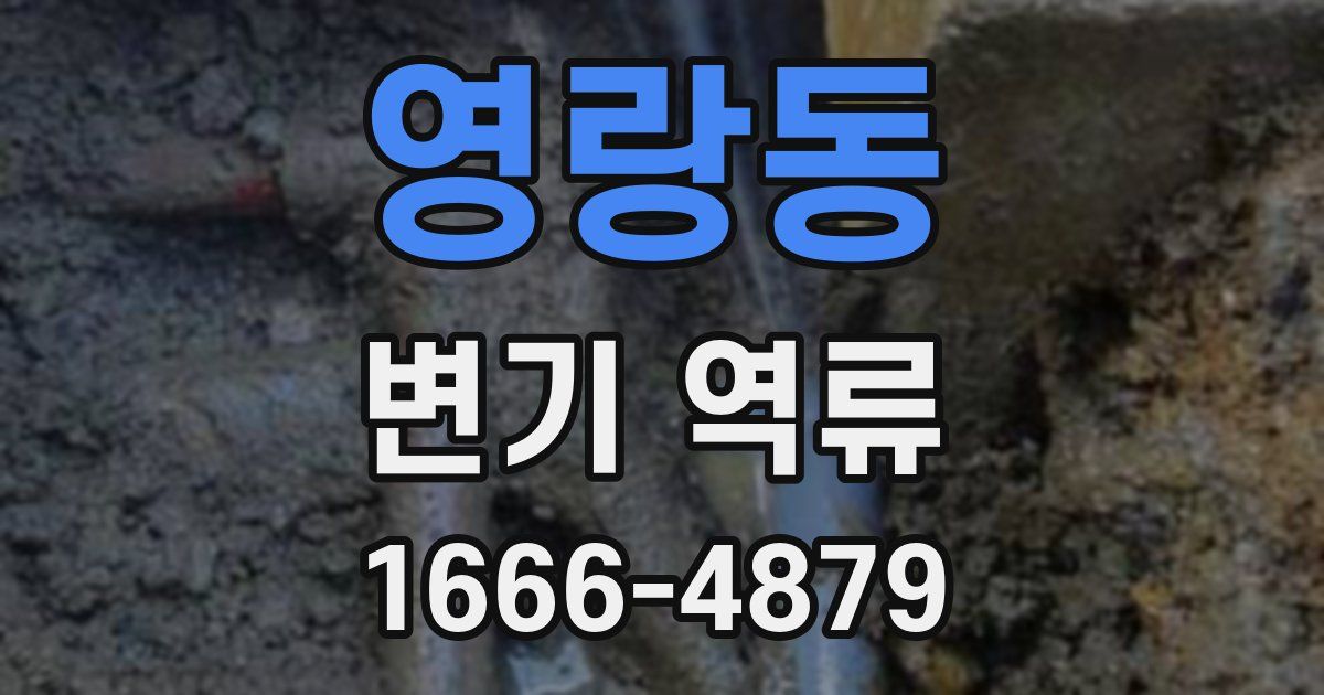 영랑동 변기 역류