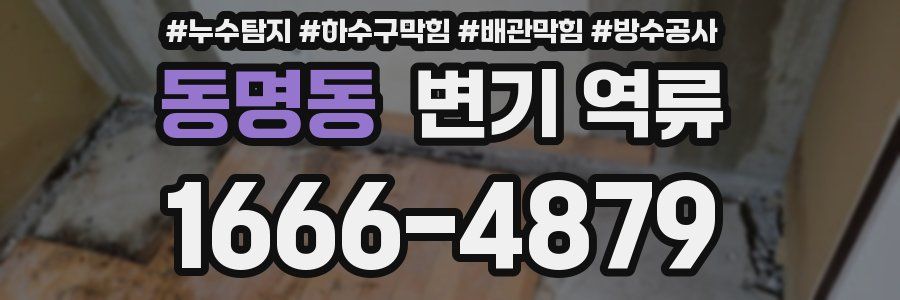 동명동 변기 역류