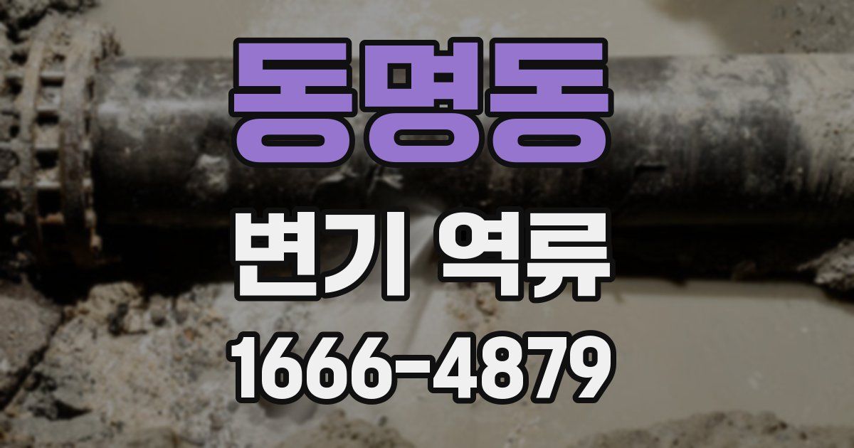 동명동 변기 역류
