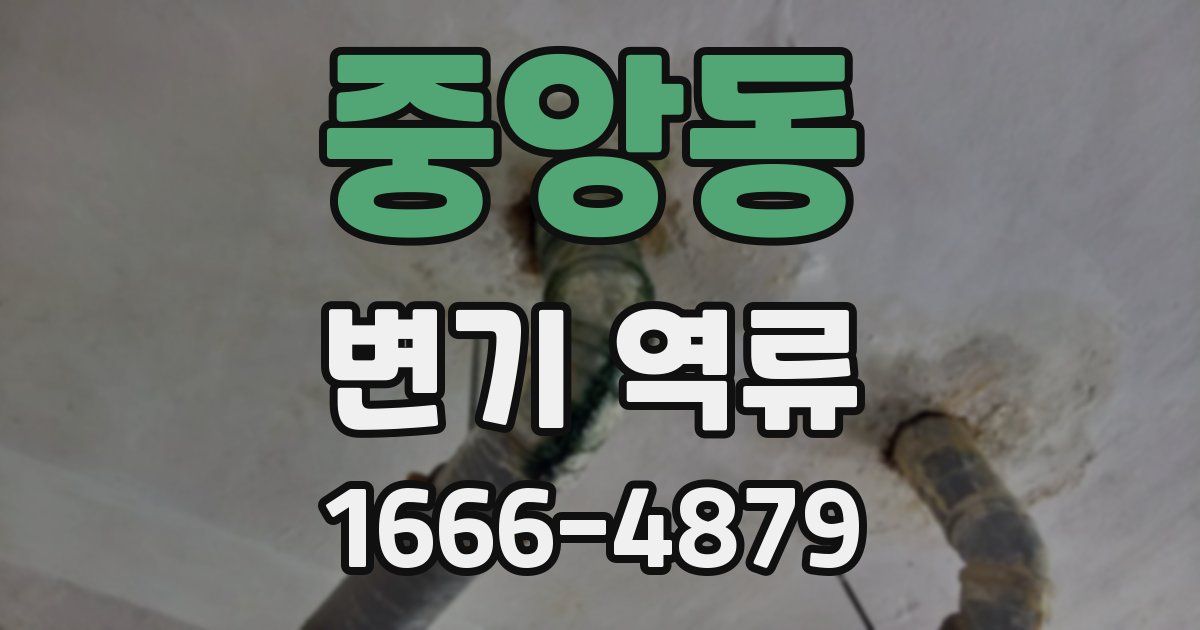 중앙동 변기 역류