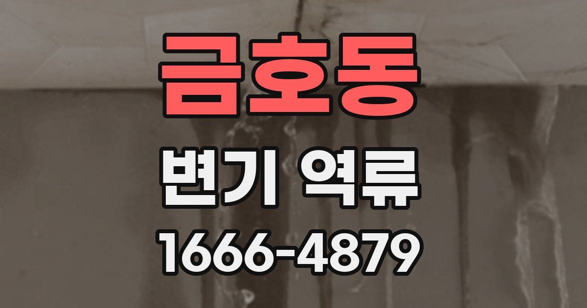 금호동 변기 역류