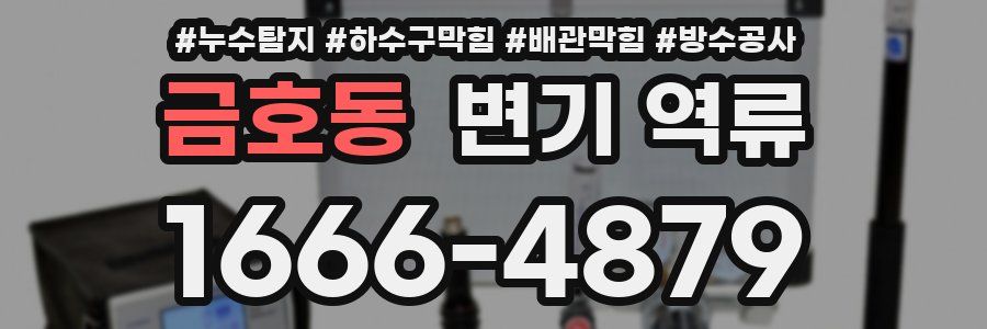 금호동 변기 역류