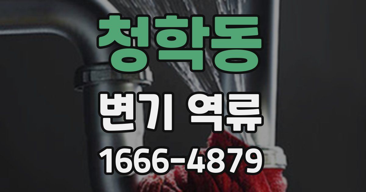 청학동 변기 역류