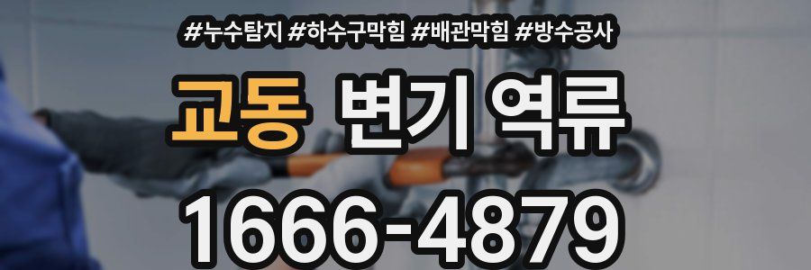 교동 변기 역류