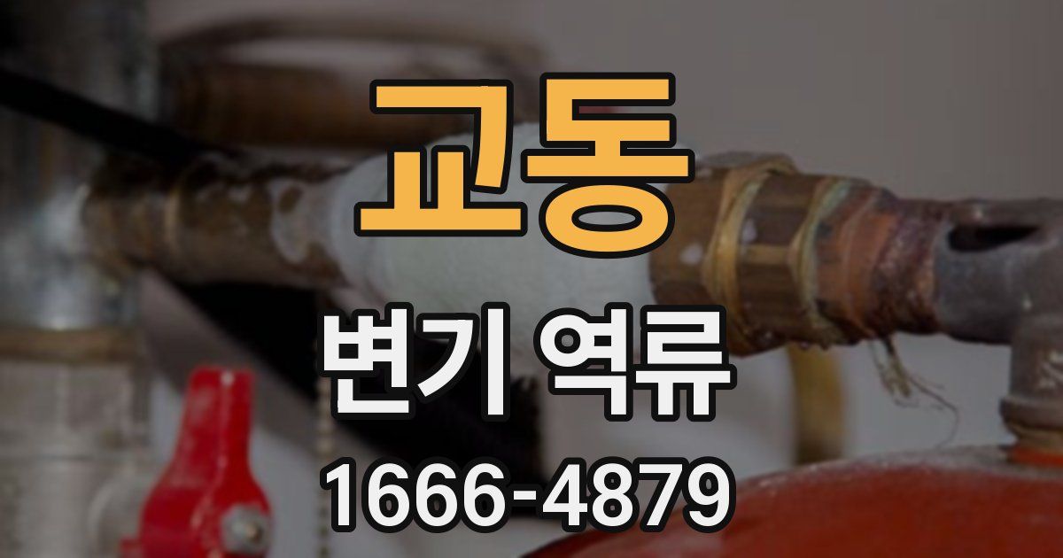 교동 변기 역류