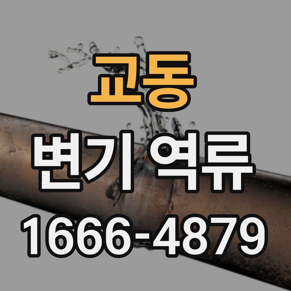 교동 변기 역류