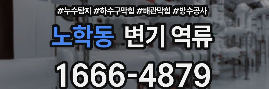 노학동 변기 역류
