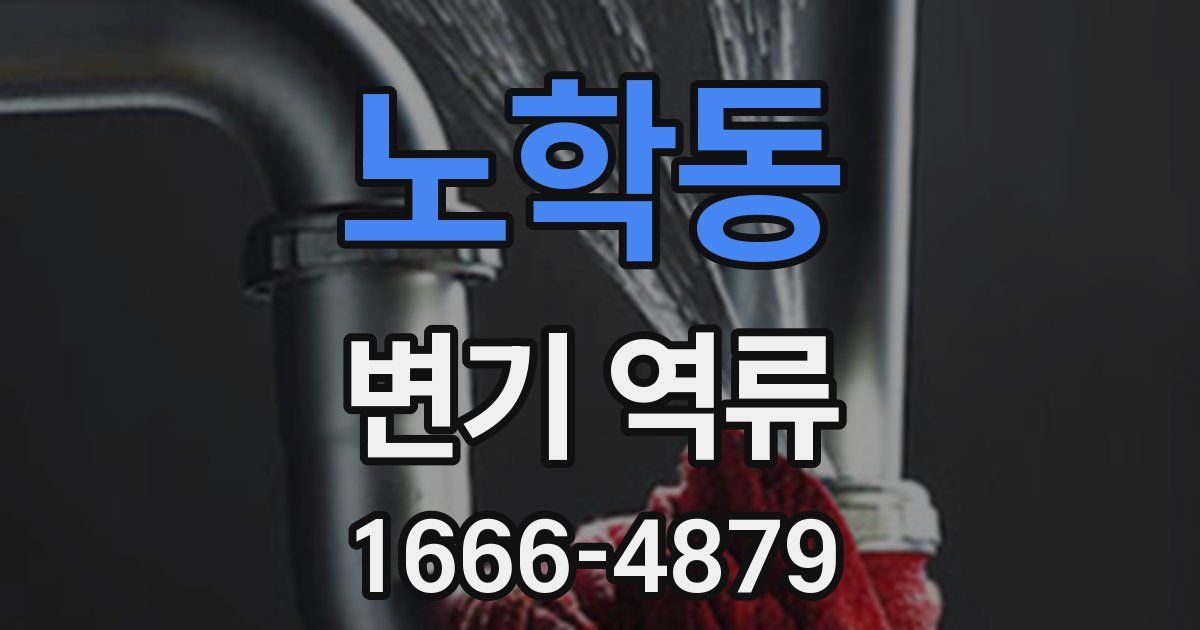 노학동 변기 역류