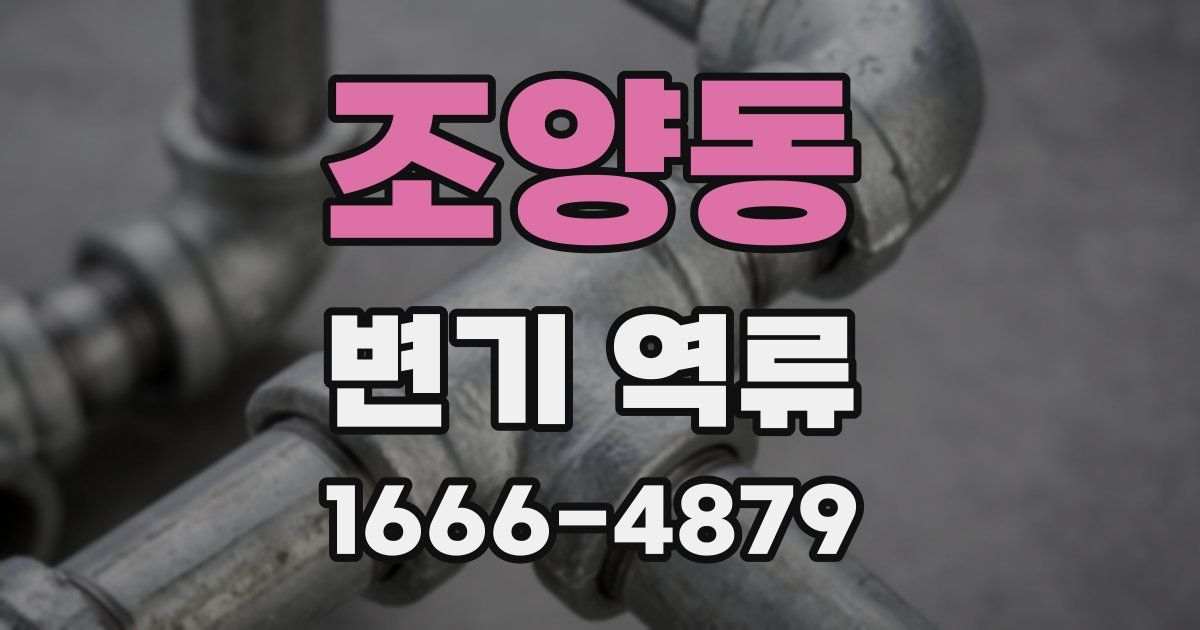 조양동 변기 역류
