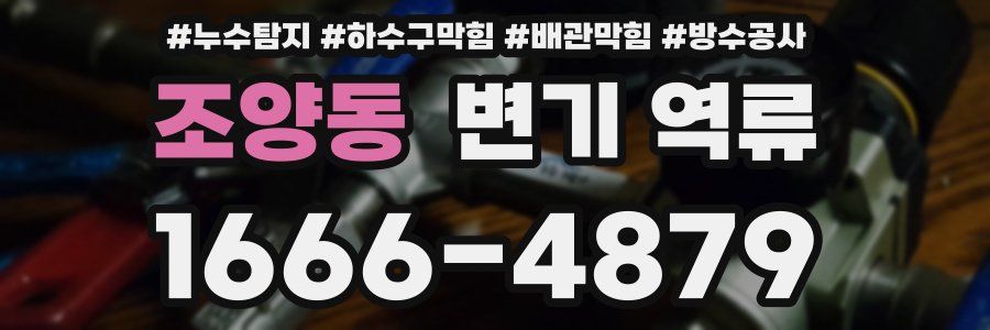 조양동 변기 역류