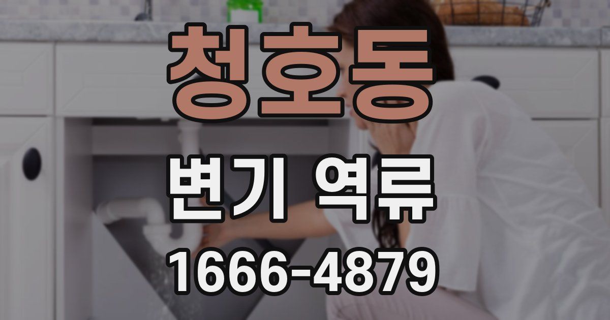 청호동 변기 역류