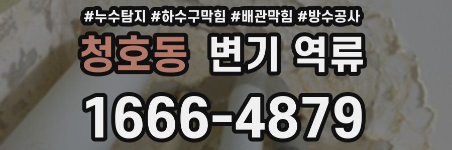 청호동 변기 역류