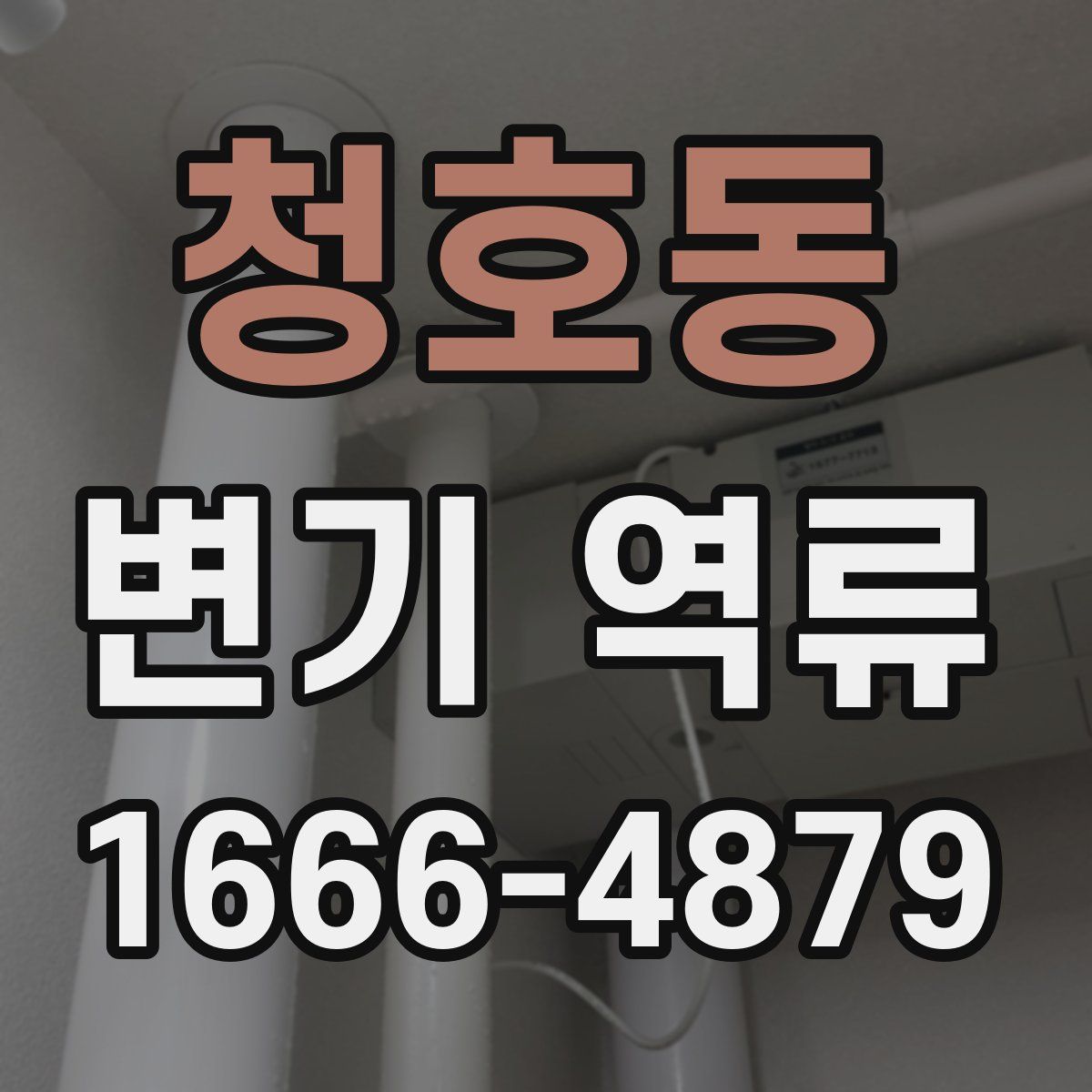 청호동 변기 역류