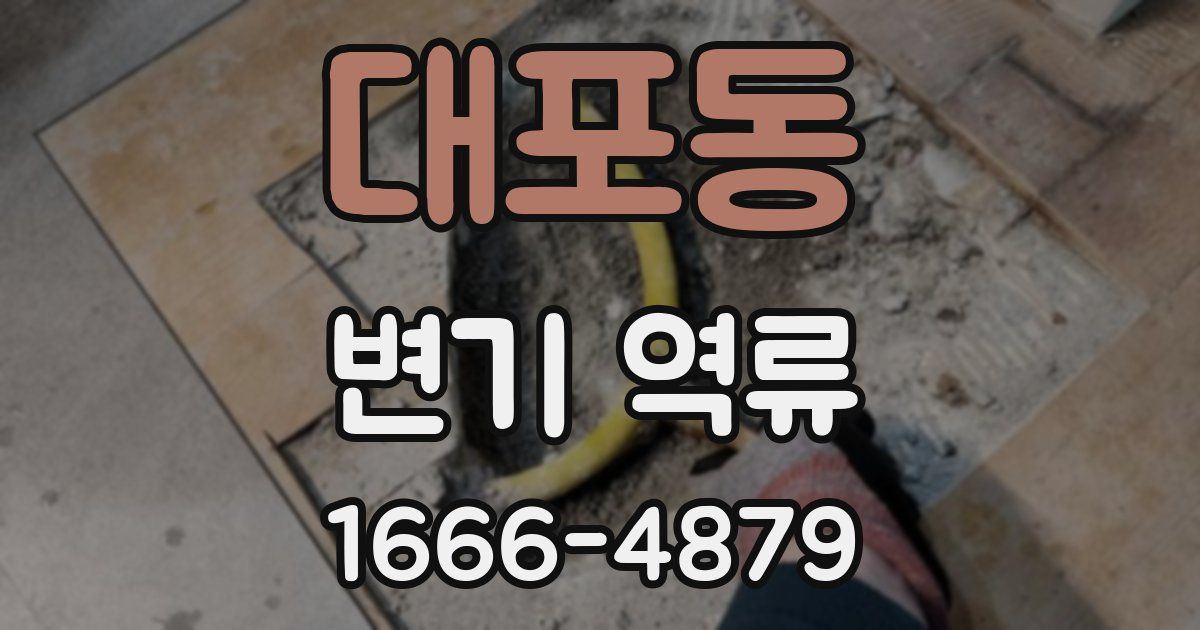 대포동 변기 역류
