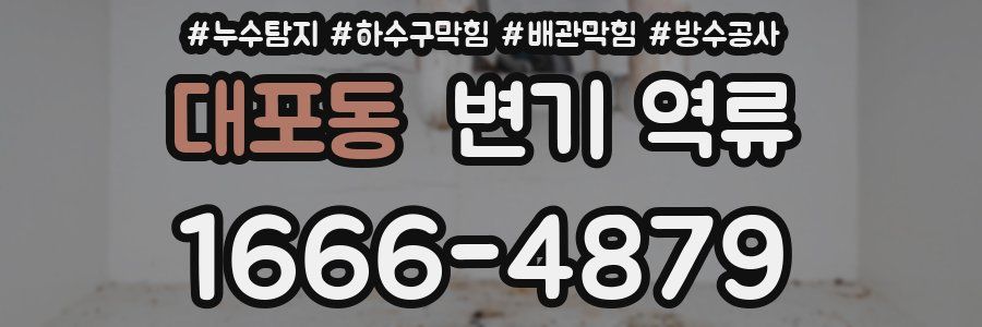 대포동 변기 역류