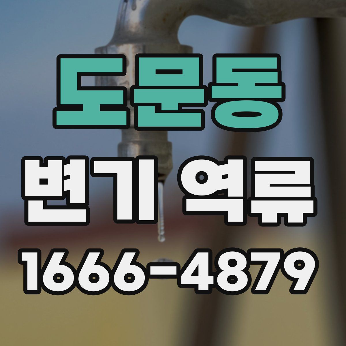 도문동 변기 역류