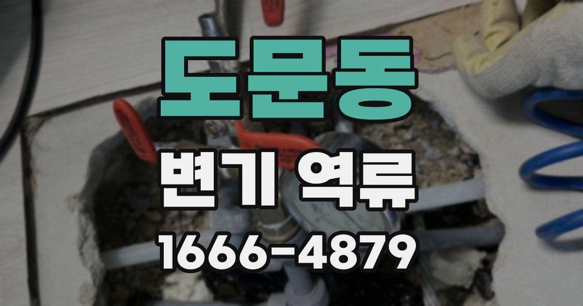 도문동 변기 역류