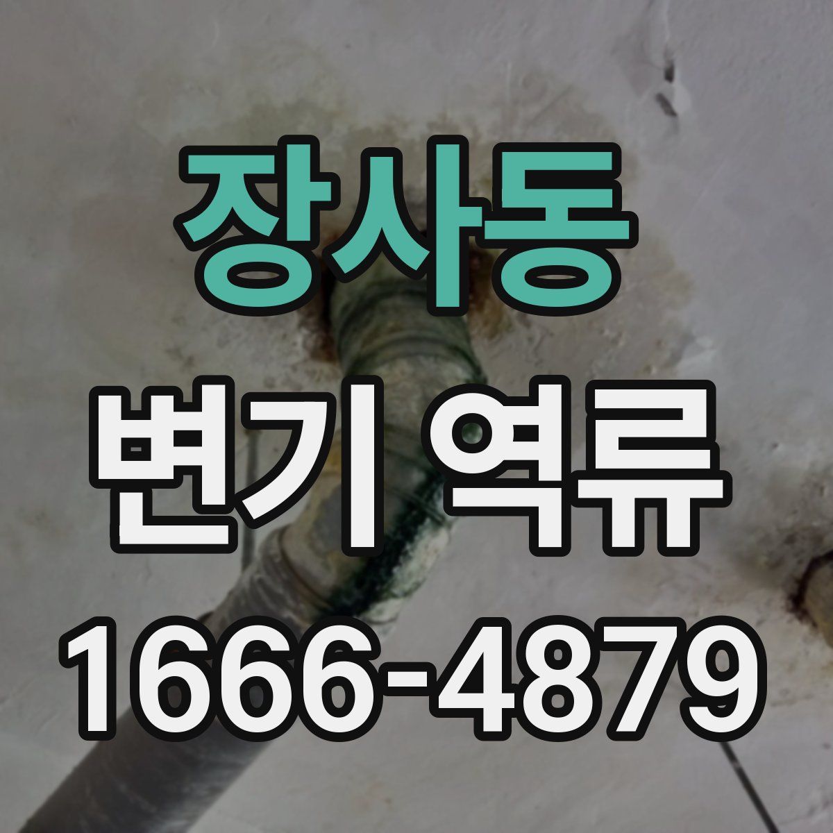 장사동 변기 역류