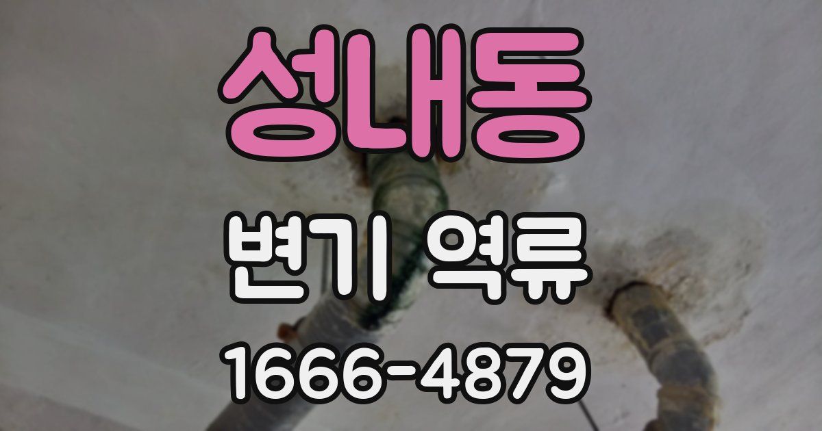 성내동 변기 역류