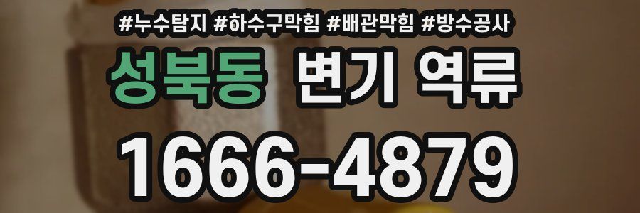 성북동 변기 역류