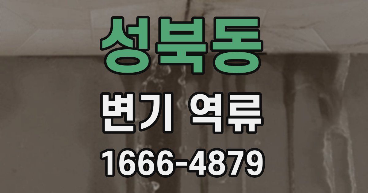 성북동 변기 역류
