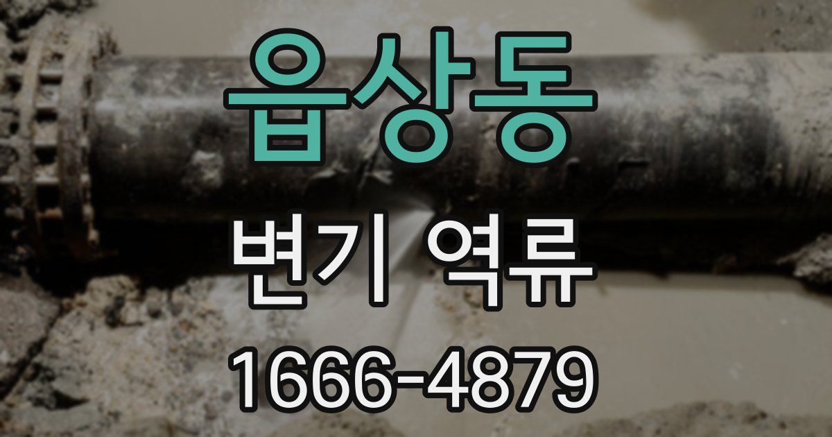 읍상동 변기 역류