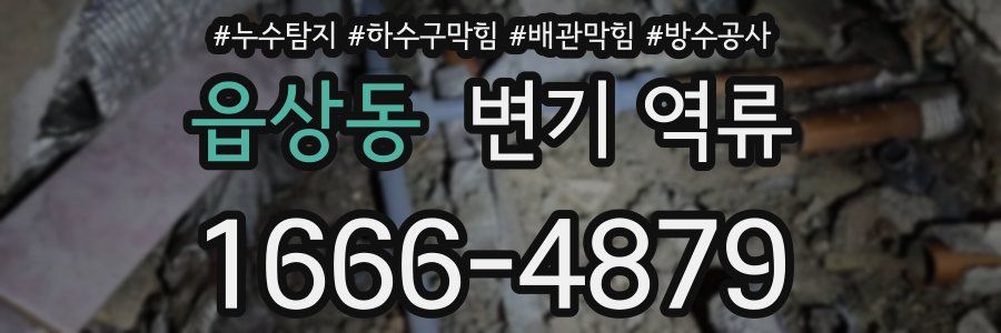 읍상동 변기 역류