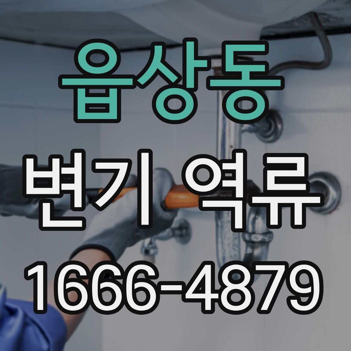 읍상동 변기 역류