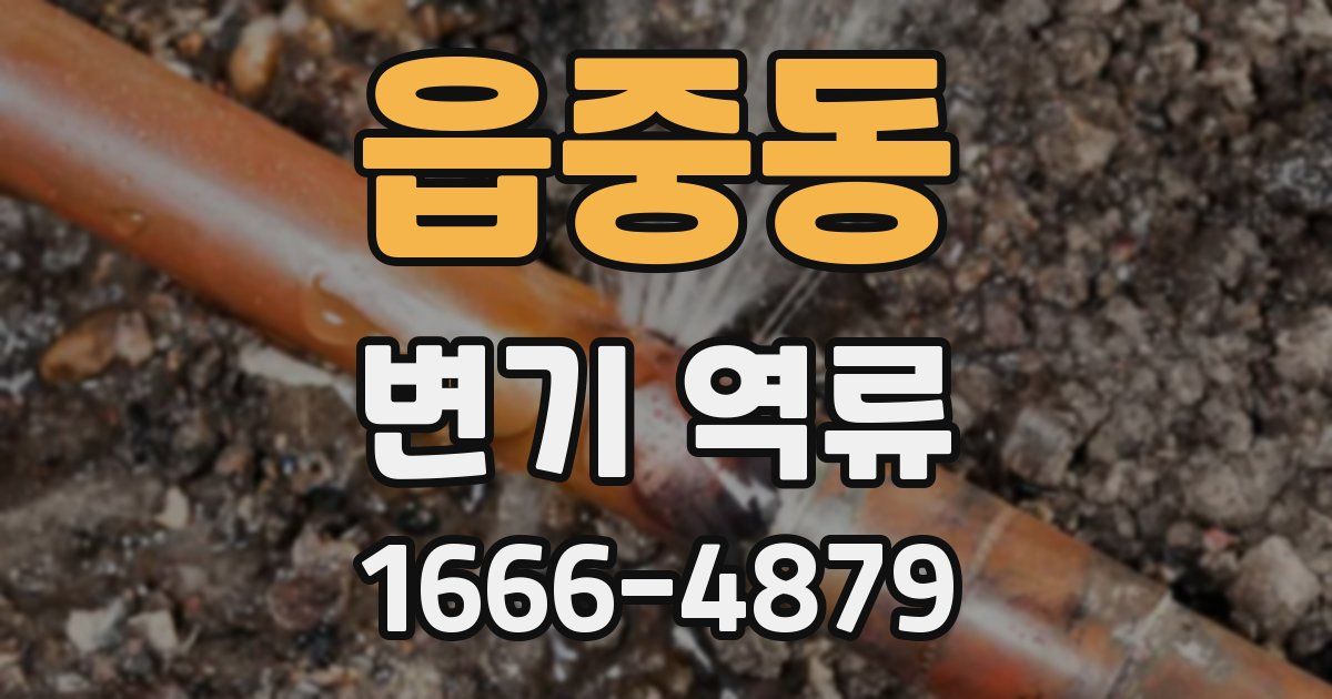 읍중동 변기 역류