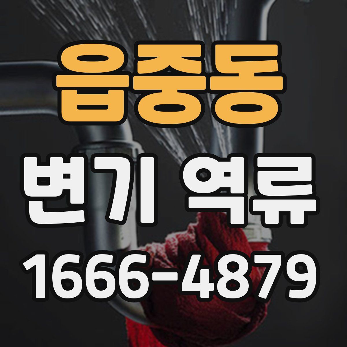 읍중동 변기 역류