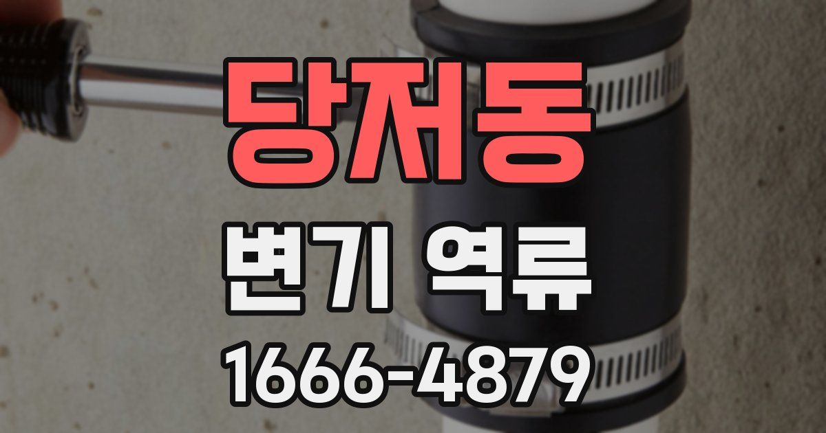당저동 변기 역류