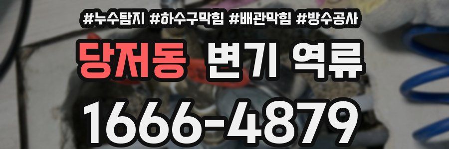 당저동 변기 역류