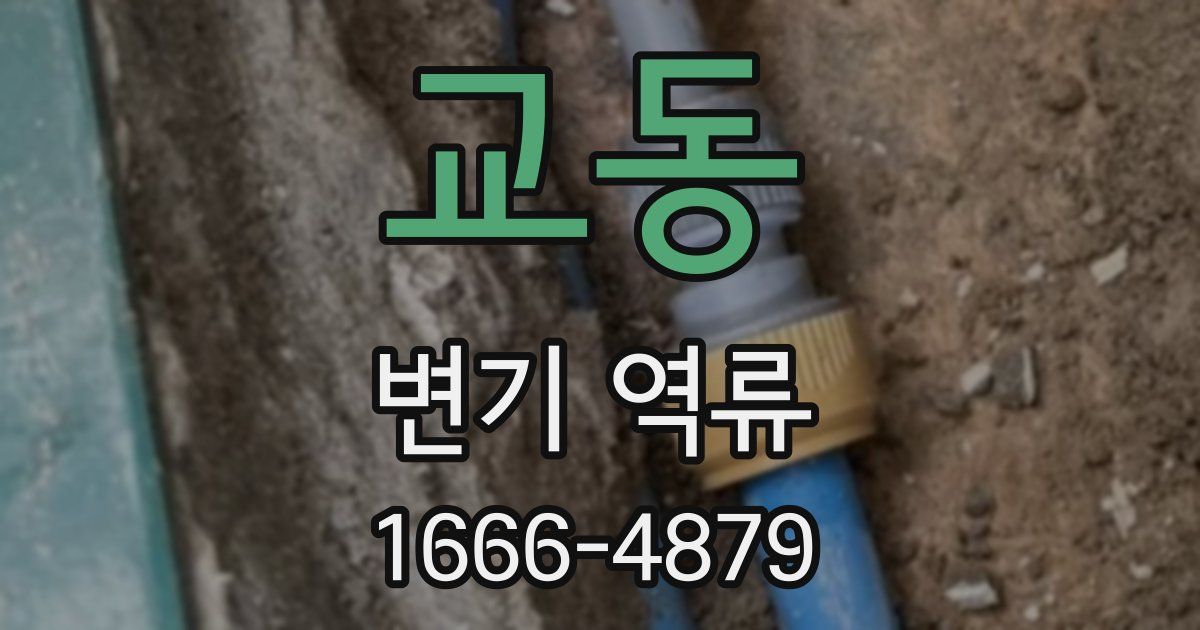 교동 변기 역류