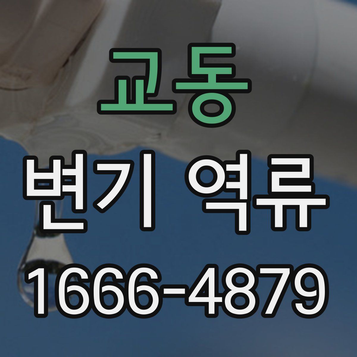 교동 변기 역류