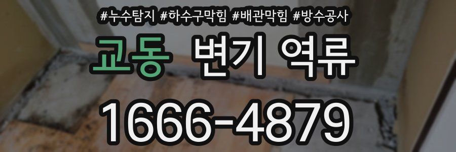 교동 변기 역류