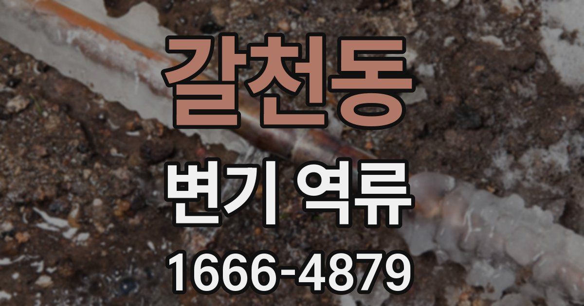 갈천동 변기 역류
