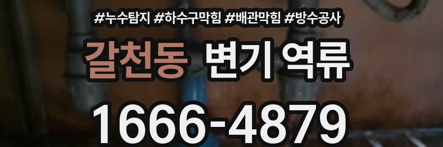 갈천동 변기 역류