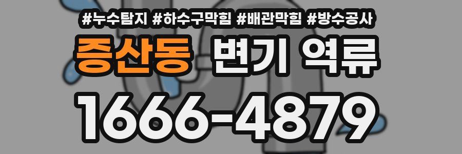 증산동 변기 역류