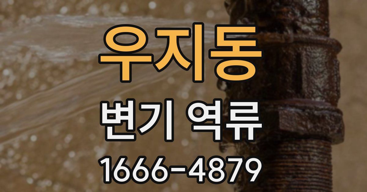 우지동 변기 역류