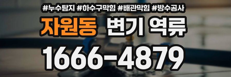자원동 변기 역류