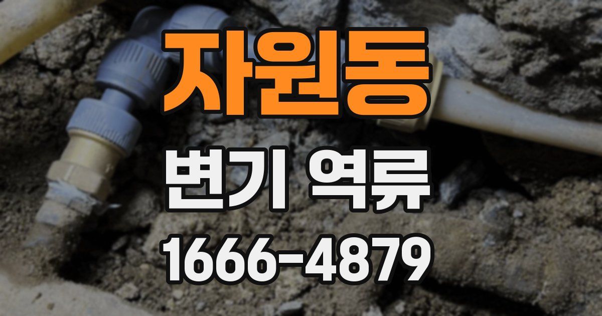 자원동 변기 역류