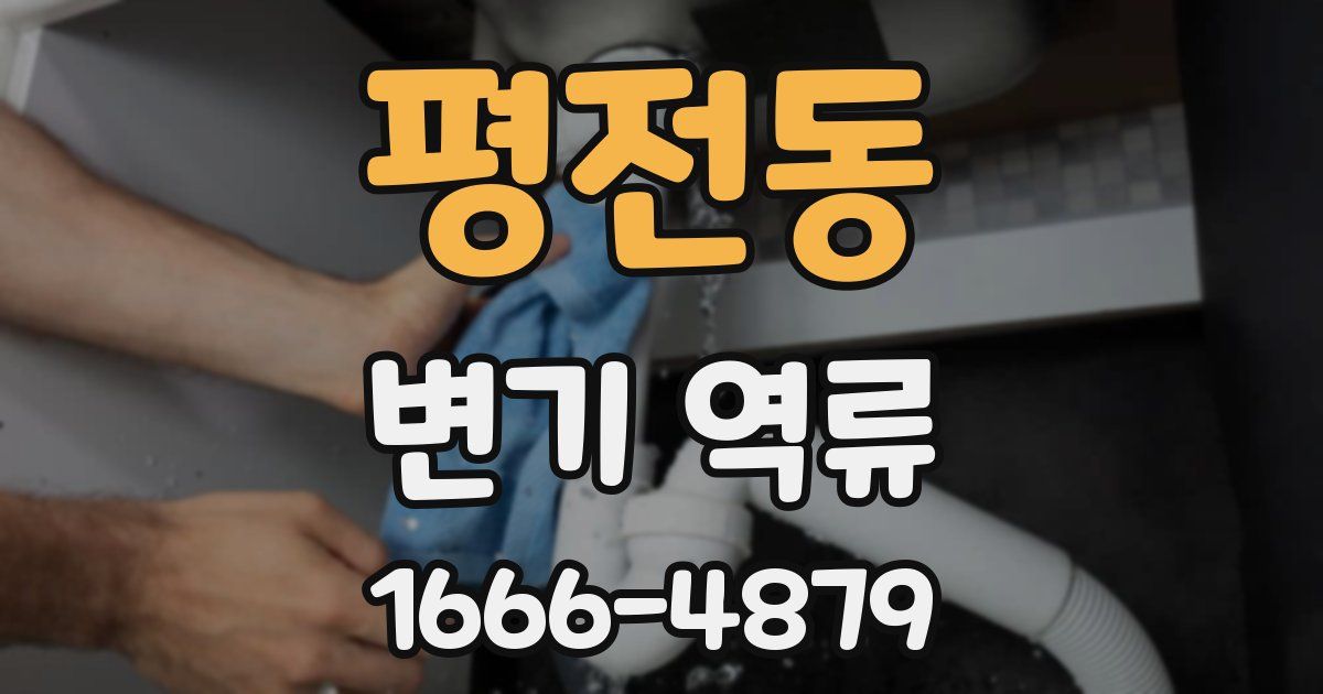 평전동 변기 역류